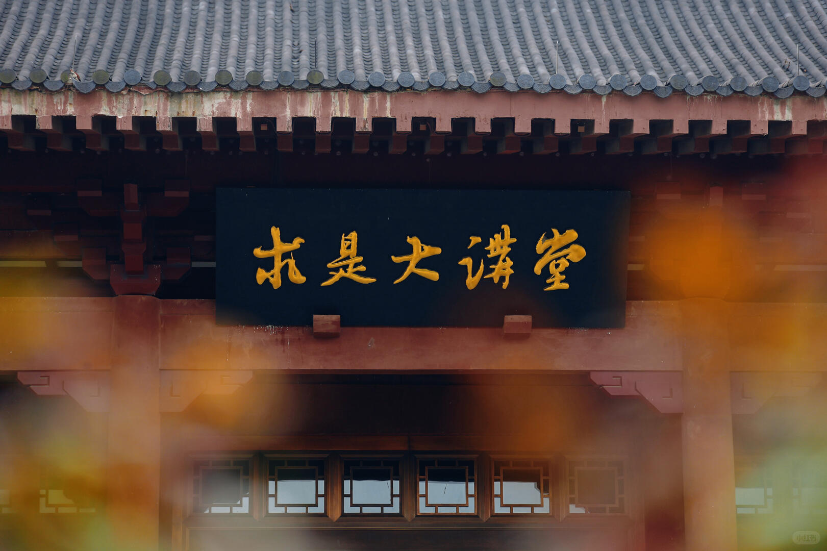 浙江大学